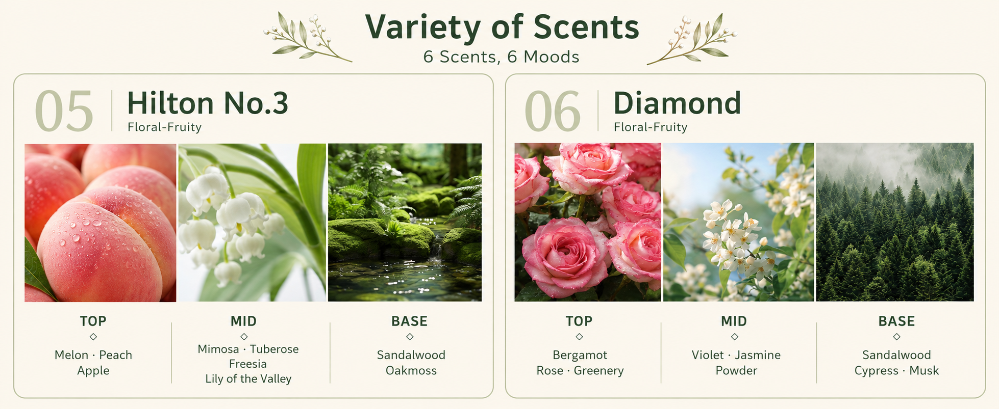 Hilton No.3 and Diamond fragrance note profiles