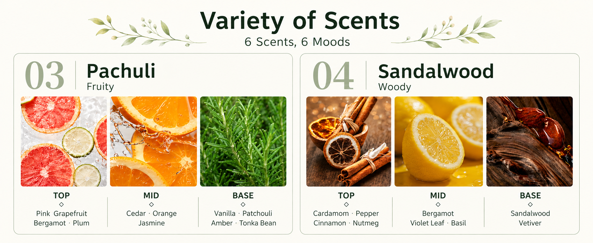 Patchouli and Sandalwood fragrance note profiles